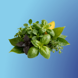 Abertura de Caminhos & Clareza