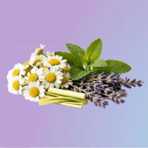 Paz Interior & Equilíbrio